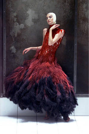 Alexander Mcqueen Ostrich Feather Red Dress Wallpaper