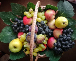 Algeria Basket Of Fruits Wallpaper
