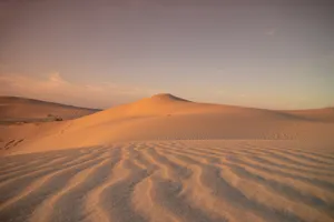 Algeria Desert And Sand Dunes Wallpaper