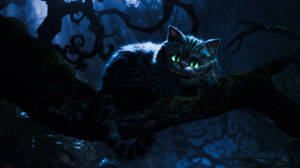 Alice In The Wonderland Cheshire Cat Wallpaper