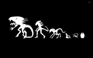Alien Evolution Art Wallpaper