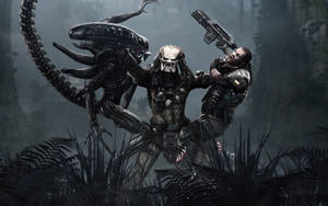 Alien Versus Predator Wallpaper