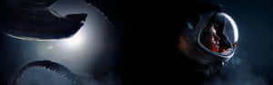 Aliens Vs Predator Hd Wallpaper Wallpaper
