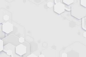 All White Hexagon Background Wallpaper
