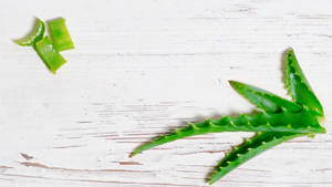 Aloe Vera Leaf Slices On Table Wallpaper