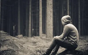 Alone In The Forest Wallpaper