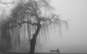 Alone Under The Tree Sketch Wallpaper