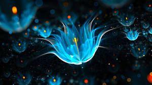 Amazing Blue Jellyfish Wallpaper