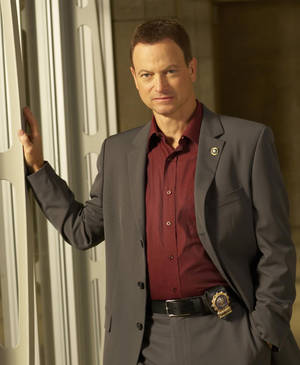 American Actor Gary Sinise Portrait Wallpaper