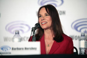 American Actress Barbara Hershey Speaking Wallpaper