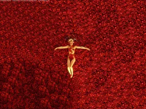 American Beauty Roses Woman Wallpaper
