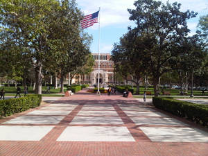 American Flag University Of Southern Carolina Wallpaper