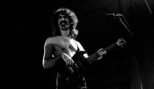 American Musician Frank Zappa Wallpaper