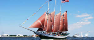 American Rover Sailing Cruises In Norfolk, Virginia Wallpaper