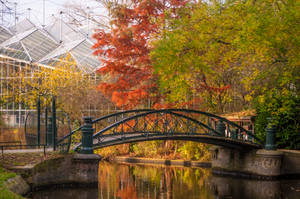 Amsterdam's Hortus Botanicus Autumn Aesthetic Wallpaper