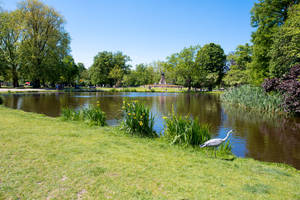 Amsterdam Vondel Park Pond Wallpaper