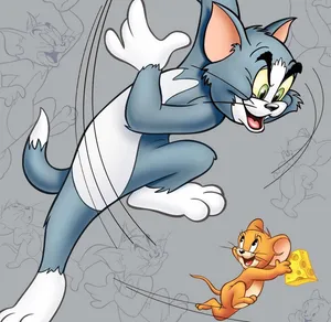 An Artistic Photograph Of Tom Cat Wallpaper
