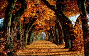 An Autumn View Of New England Wallpaper