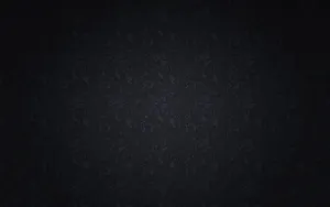 An Elegant Night Wallpaper