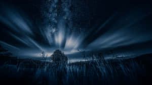 An Enchanting View Of The Dark Nature Wallpaper