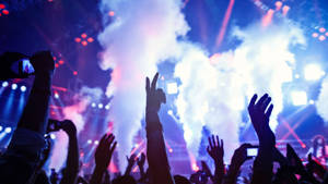 “an Epic Festival Party Night” Wallpaper