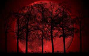 An Escape To The Enchanting Anime Forest Wallpaper