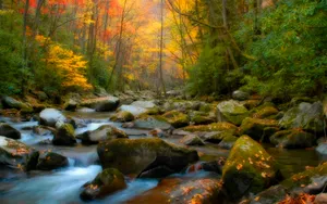 An Idyllic Nature Scene At Dawn. Wallpaper