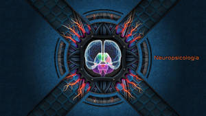 An Illustration Of A Color-coded Cerebral Cortex Wallpaper