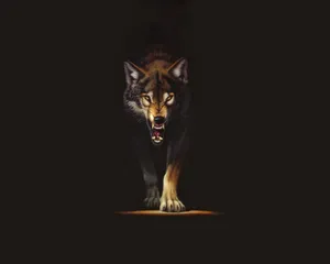 An Intimidating Brown Wolf Wallpaper