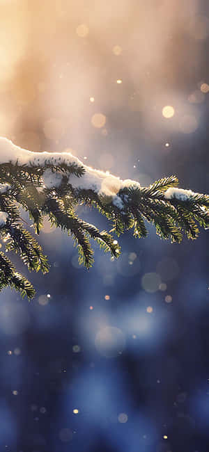 An Iphone Resting In Freshly Fallen Christmas Snow Wallpaper