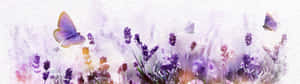 An Ultra Wide High-definition Digital Display Wallpaper