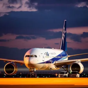 Ana Plane On Airport At Night Wallpaper