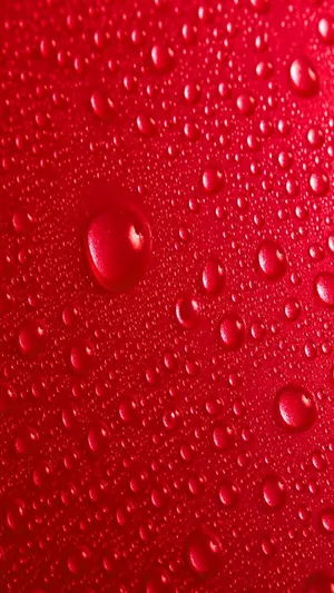 Ancient Old Church In City Square Wallpaper