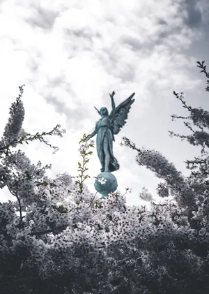 Angel 3727 X 5218 Wallpaper