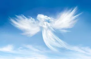 Angel 7087 X 4619 Wallpaper