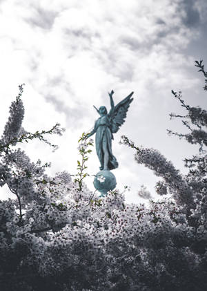 Angel Statue With Sakura Wallpaper