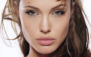 Angelina Jolie Close-up Natural Makeup Look Wallpaper
