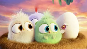 Angry Birds Movie Cover Wallpaper