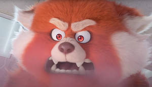 Angry Red Panda In Turning Red Wallpaper