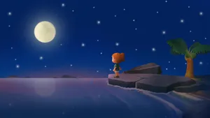 Animal Crossing New Horizons Moonlit Beach Wallpaper