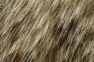 Animal Fur Macro Shot Wallpaper