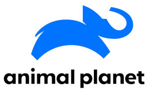 Animal Planet Blue Elephant Logo Wallpaper