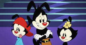 Animaniacs Warner Siblings Scene Wallpaper