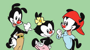 Animaniacs Warners Adorable Talk Wallpaper