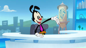 Animaniacs Yakko As Anchor Wallpaper