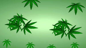 Animated Cannabis Leaves Wallpaper