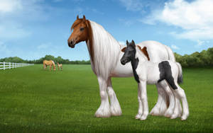 Animated Clydesdale Horses In Pasture Wallpaper