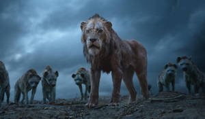 Animated Scar Lion King Hd Wallpaper