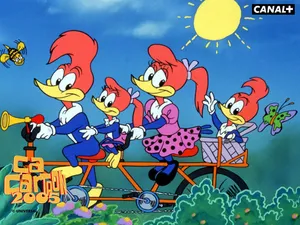 Animation Picture Wallpaper: Woody Woodpecker Wallpaper Wallpaper
