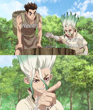 Anime Meme Dr. Stone Wallpaper